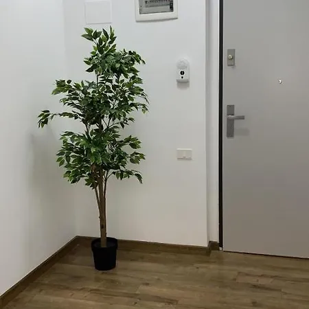 435 Mamaia
